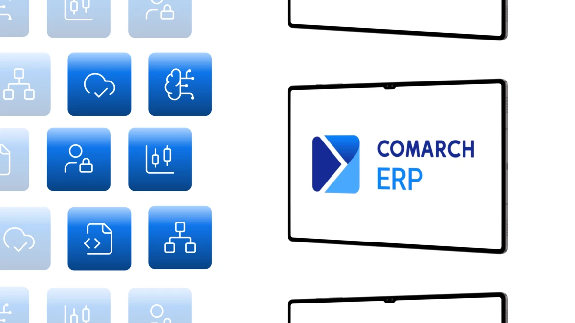 oferta-imset-partner-comarch-erp-grafika-wprowadzajaca