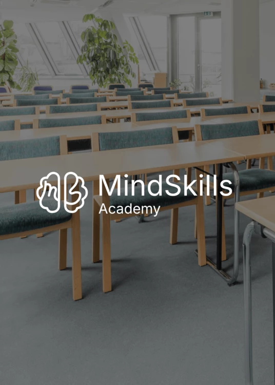 realizacja-imset-dla-mindskills-academy-okladka-logo-mindskills-academy