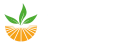 IMSET_logo_Polfert.png